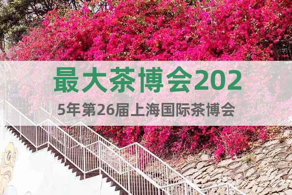 最大茶博会2025年第26届上海国际茶博会