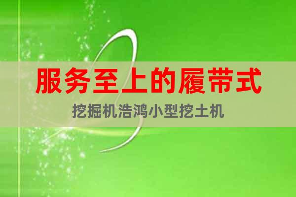 服務(wù)至上的履帶式挖掘機(jī)浩鴻小型挖土機(jī)