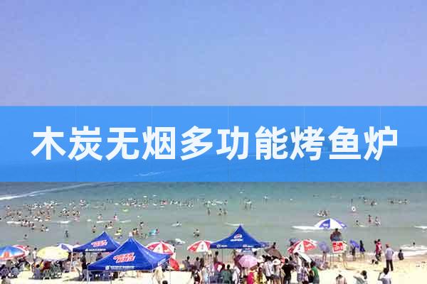 木炭無煙多功能烤魚爐