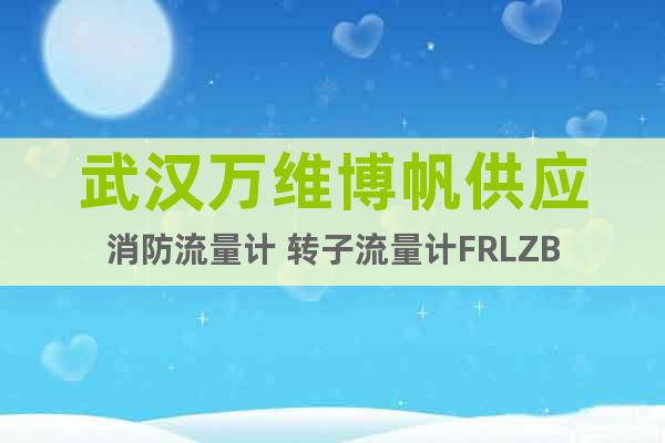 武漢萬維博帆供應消防流量計 轉子流量計FRLZB