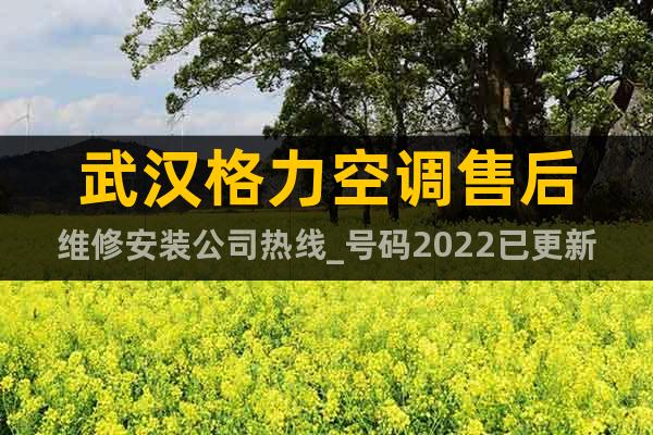 武汉格力空调售后维修安装公司热线_号码2022已更新推荐