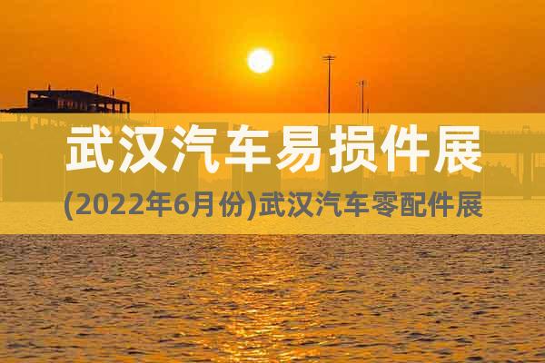 武漢汽車(chē)易損件展(2022年6月份)武漢汽車(chē)零配件展會(huì)