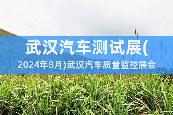 武漢汽車測試展(2024年8月)武漢汽車質(zhì)量監(jiān)控展會