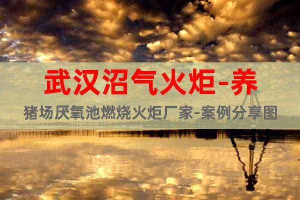 武漢沼氣火炬-養(yǎng)豬場厭氧池燃燒火炬廠家-案例分享圖