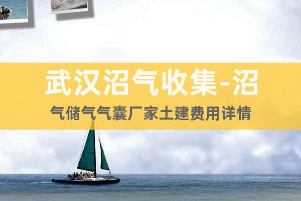 武漢沼氣收集-沼氣儲(chǔ)氣氣囊廠家土建費(fèi)用詳情