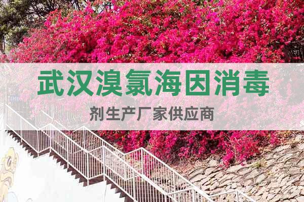 武漢溴氯海因消毒劑生產(chǎn)廠(chǎng)家供應(yīng)商