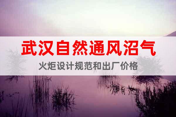武漢自然通風(fēng)沼氣火炬設(shè)計(jì)規(guī)范和出廠價(jià)格