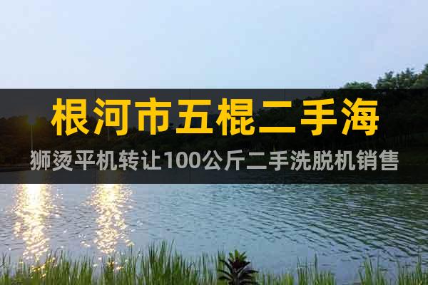 根河市五棍二手海獅燙平機(jī)轉(zhuǎn)讓100公斤二手洗脫機(jī)銷售價(jià)格
