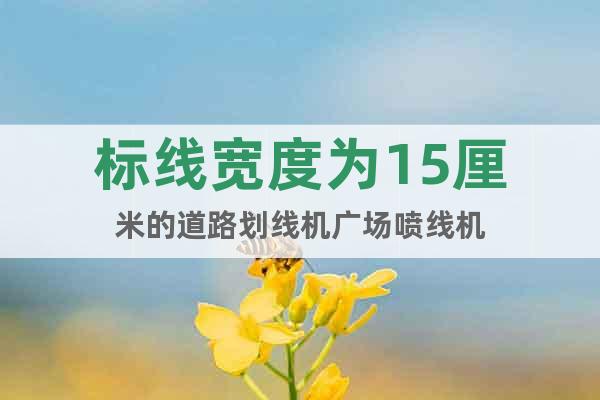 標(biāo)線寬度為15厘米的道路劃線機(jī)廣場(chǎng)噴線機(jī)