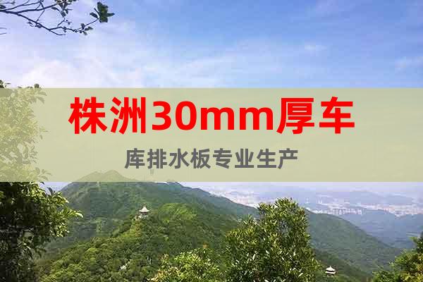 株洲30mm厚車庫排水板專業(yè)生產(chǎn)