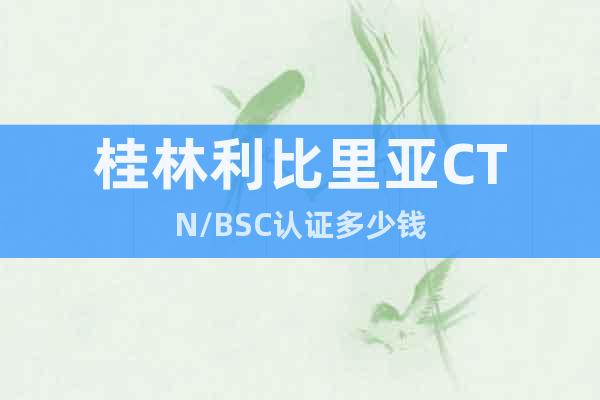 桂林利比里亞CTN/BSC認(rèn)證多少錢