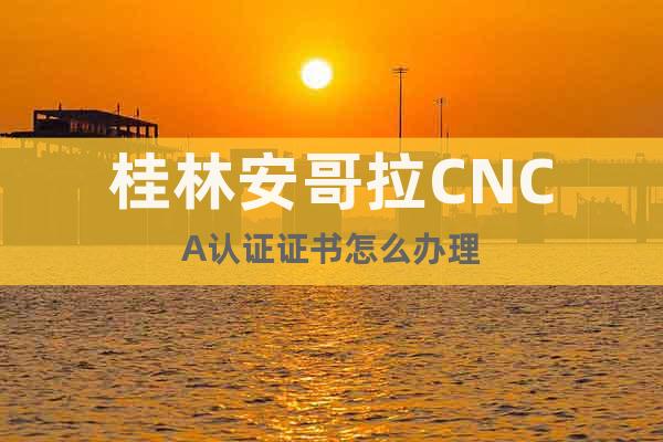 桂林安哥拉CNCA认证证书怎么办理