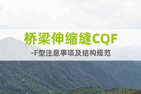 橋梁伸縮縫CQF-F型注意事項及結(jié)構(gòu)規(guī)范