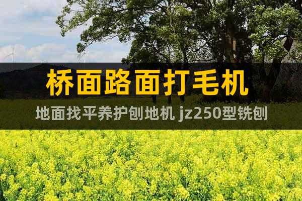 橋面路面打毛機(jī) 地面找平養(yǎng)護(hù)刨地機(jī) jz250型銑刨機(jī)價(jià)格