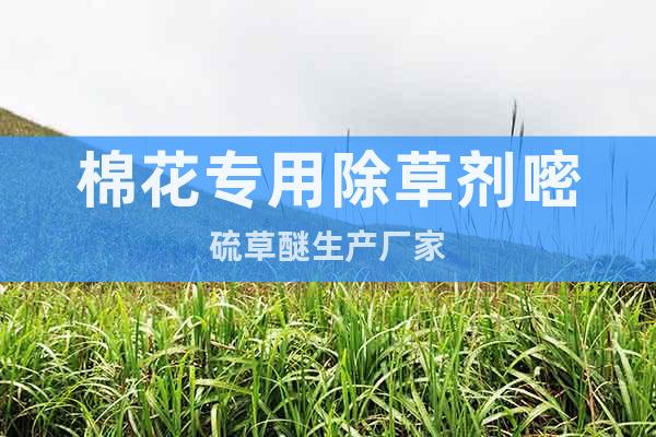 棉花專用除草劑嘧硫草醚生產(chǎn)廠家