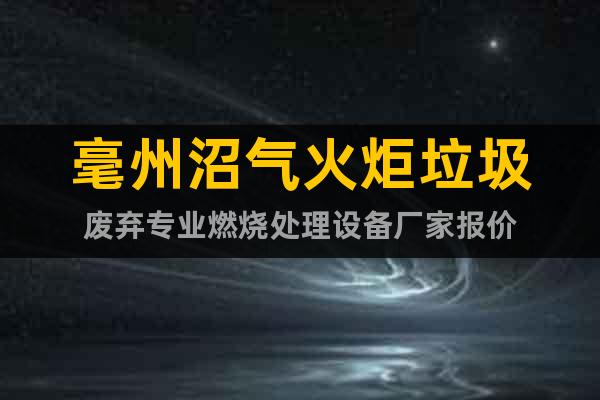 毫州沼氣火炬垃圾廢棄專業(yè)燃燒處理設(shè)備廠家報價