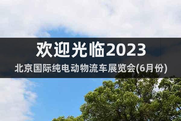 欢迎光临2023北京国际纯电动物流车展览会(6月份)