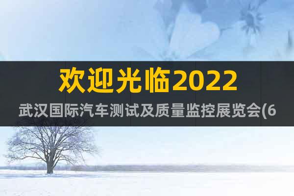 欢迎光临2022武汉国际汽车测试及质量监控展览会(6月份)