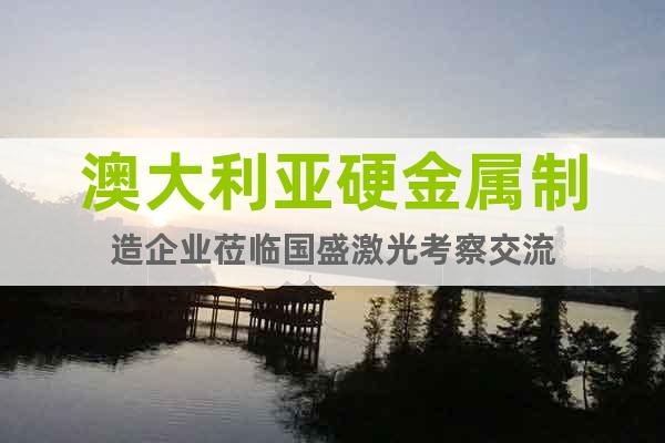 澳大利亞硬金屬制造企業(yè)蒞臨國(guó)盛激光考察交流