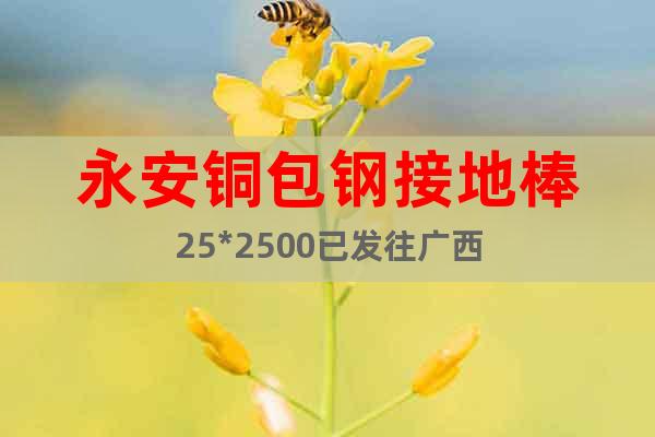 永安銅包鋼接地棒25*2500已發(fā)往廣西