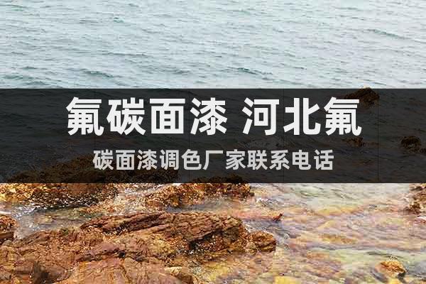 氟碳面漆 河北氟碳面漆調(diào)色廠家聯(lián)系電話