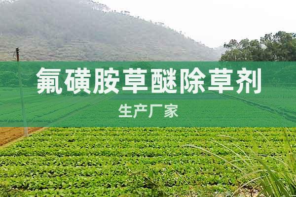 氟磺胺草醚除草劑生產(chǎn)廠家