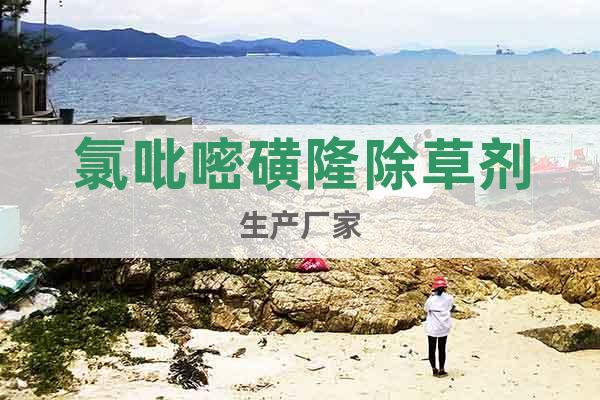 氯吡嘧磺隆除草劑生產(chǎn)廠家