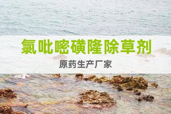 氯吡嘧磺隆除草劑原藥生產(chǎn)廠家