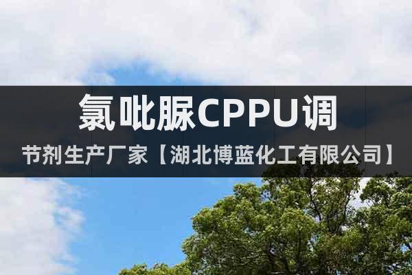氯吡脲CPPU调节剂生产厂家【湖北博蓝化工有限公司】