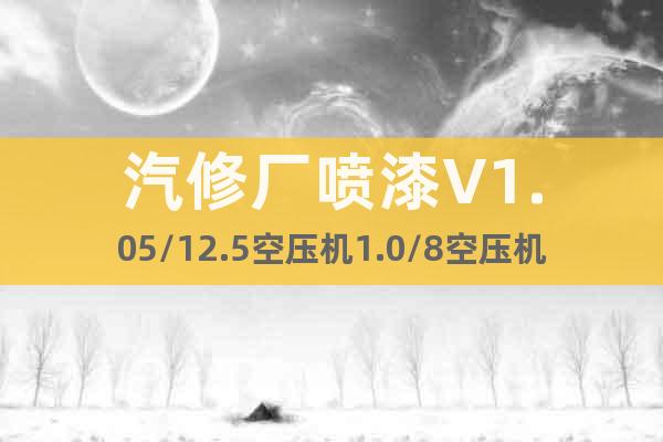 汽修廠噴漆V1.05/12.5空壓機1.0/8空壓機