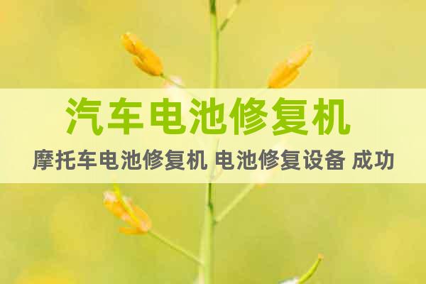 汽車電池修復(fù)機(jī) 摩托車電池修復(fù)機(jī) 電池修復(fù)設(shè)備 成功致富
