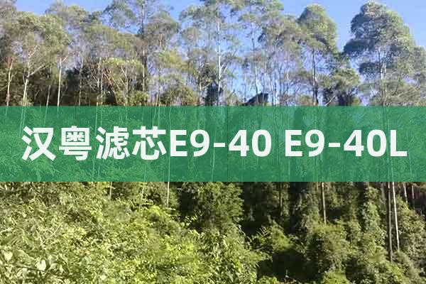 漢粵濾芯E9-40 E9-40L