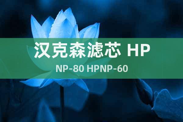 漢克森濾芯 HPNP-80 HPNP-60