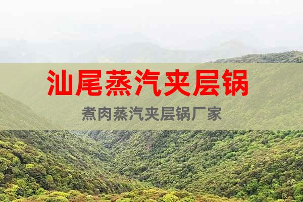 汕尾蒸汽夾層鍋 煮肉蒸汽夾層鍋廠家