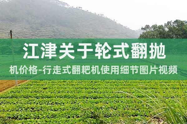 江津關(guān)于輪式翻拋機(jī)價格-行走式翻耙機(jī)使用細(xì)節(jié)圖片視頻