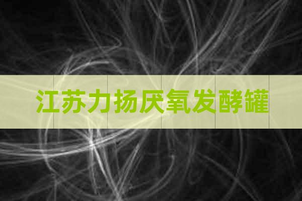 江蘇力揚(yáng)厭氧發(fā)酵罐