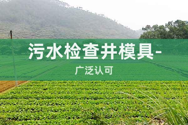 污水檢查井模具-廣泛認(rèn)可