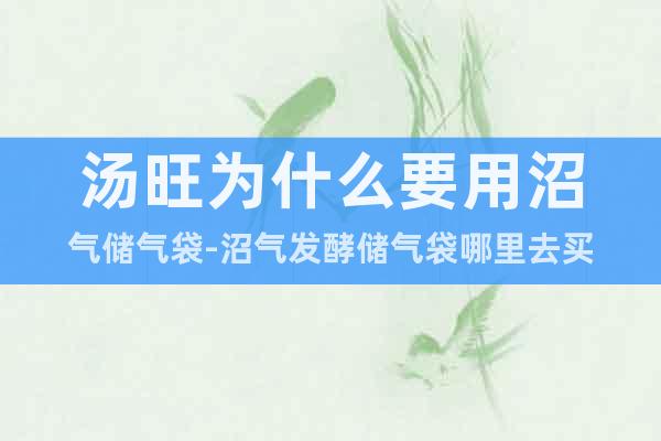 湯旺為什么要用沼氣儲(chǔ)氣袋-沼氣發(fā)酵儲(chǔ)氣袋哪里去買