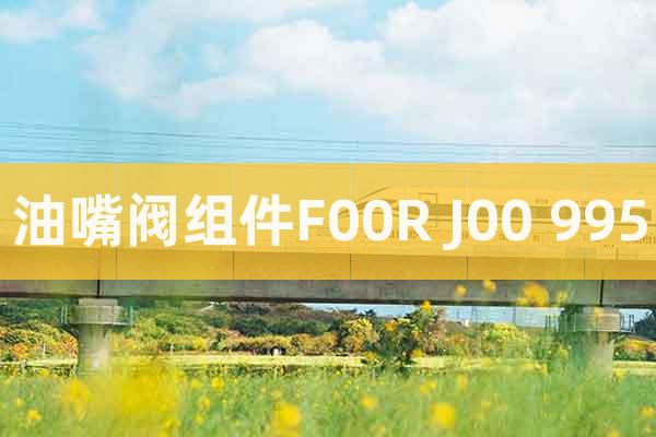 油嘴閥組件F00R J00 995