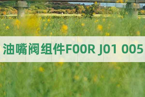 油嘴閥組件F00R J01 005