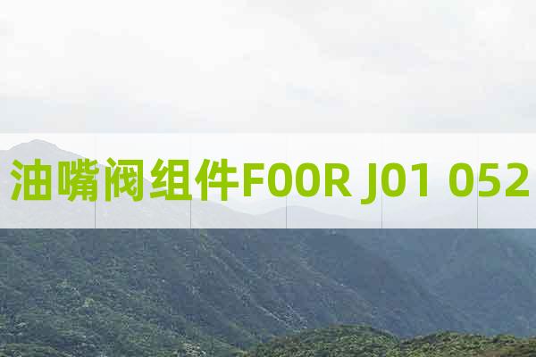 油嘴閥組件F00R J01 052
