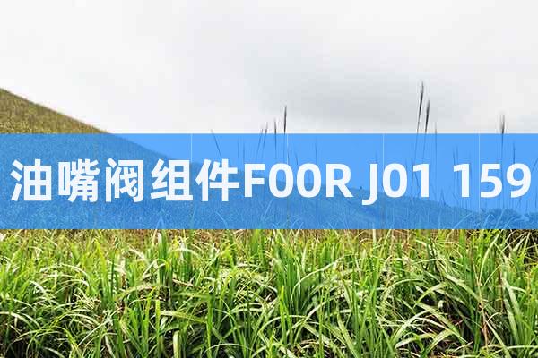 油嘴閥組件F00R J01 159