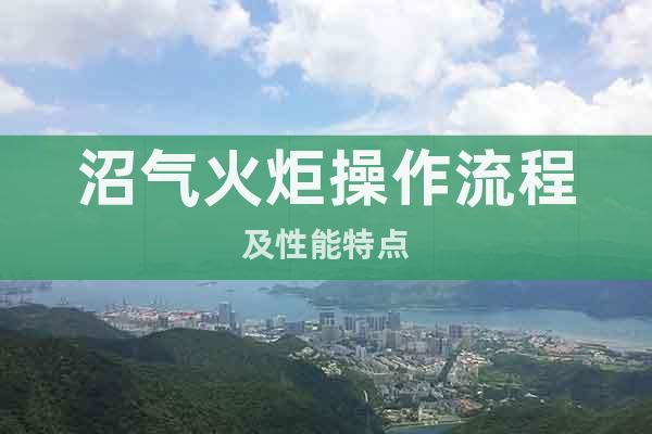 沼氣火炬操作流程及性能特點(diǎn)
