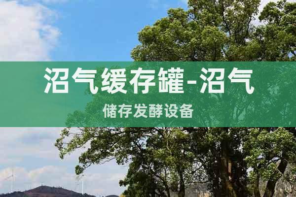 沼氣緩存罐-沼氣儲存發(fā)酵設備