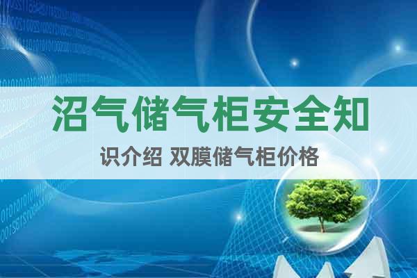 沼氣儲(chǔ)氣柜安全知識(shí)介紹 雙膜儲(chǔ)氣柜價(jià)格