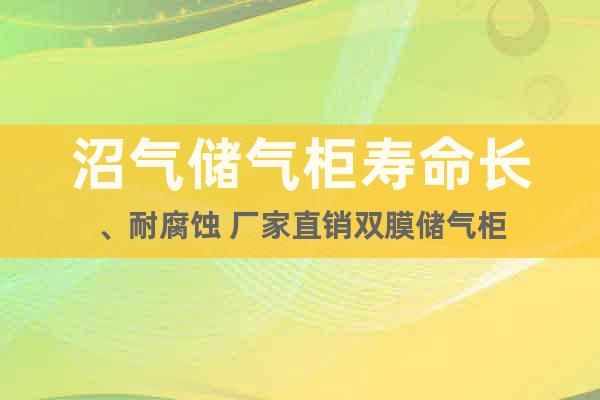 沼氣儲(chǔ)氣柜壽命長(zhǎng)、耐腐蝕 廠家直銷雙膜儲(chǔ)氣柜