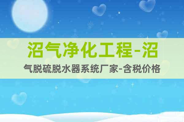 沼氣凈化工程-沼氣脫硫脫水器系統(tǒng)廠家-含稅價(jià)格
