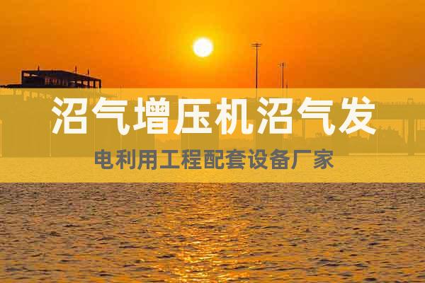 沼氣增壓機(jī)沼氣發(fā)電利用工程配套設(shè)備廠家
