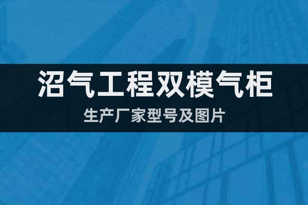 沼氣工程雙模氣柜生產(chǎn)廠家型號(hào)及圖片
