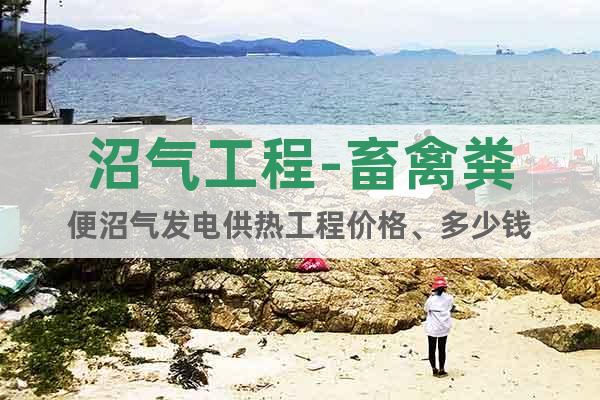 沼氣工程-畜禽糞便沼氣發(fā)電供熱工程價格、多少錢